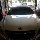 푸른카정비 이미지