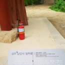 성미 이미지