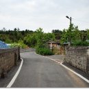 겸면사무소 이미지