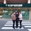 일성보문콘도미니엄 이미지