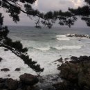 송림민박 이미지