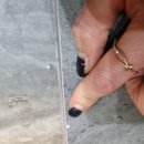 우미린제일풍경채 경로당 | 욕실 리모델링후 줄눈시공 우미린 제일풍경채 후기