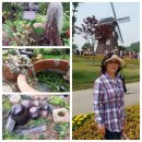 보성여인숙 이미지