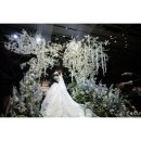 바이헤세드 | W05. 토브헤세드 가성비 본식스냅_바이티스냅_계약후기 (짝궁마감)