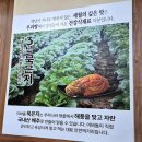 화정곤드레 | 화정역회식 연중무휴 24시간 영업 이바돔감자탕 화정점