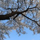 녹주한아름아파트 이미지