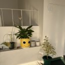 연희도그 이미지