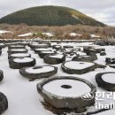 제주돌문화공원 이미지