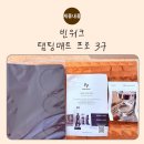 [일원3] 커피 바리스타의 홈 카페 | 홈카페 완성템, 빈워크 탬핑매트 프로 3구 솔직 후기 (탬핑매트/바리스타용품/템퍼보관)