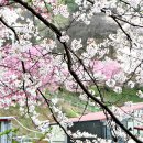 화전소류지 네이버블로그