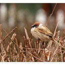 벽적골공원 이미지