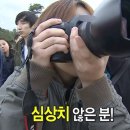 향기나무 이미지