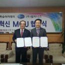 헬피니스 이미지