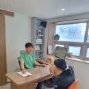 금샘동물병원 | 부산 동래 금샘동물병원, 과잉진료없는 내돈내산 후기(강아지 신부전 증상, 치료, 사료)