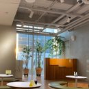 일상비일상 이미지