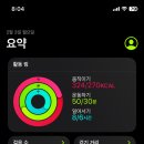 정선소머리국밥