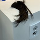 살구PC방 | 쥐꼬리만 한 월급 때문에 지갑이 텅텅 비었다 해