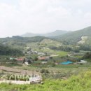 평은면사무소 이미지