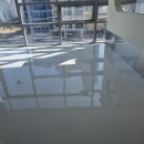 도그유토피아 더펜트 이미지