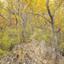 영덕 ▲ 팔각산 주차장 ~ 1봉 ~ 8봉 ~ 주차장 2 이미지