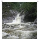 그냥놀맨 | 2006.07.29~31 휴가같앗던 응봉산 계곡야영
