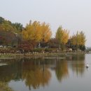 도예스크린골프 이미지