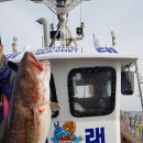 시크릿강릉 이미지