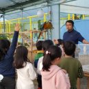 녹동중앙어린이집 이미지