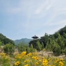 월류봉 한천민박 | [영동 가볼 만한 곳] 영동 월류봉 둘레길 주차장 코스 소요시간 택시비