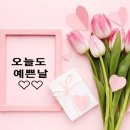 해피바이러스