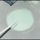 연수자동차서비스 | 연수구 송도자동차유리복원 무료 출장 후기에요