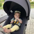 민들레소아청소년과의원 이미지