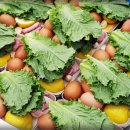 양식조리사 자격증 이미지