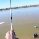 오리사냥 2 이미지