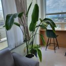 성모평온한마음의원 이미지