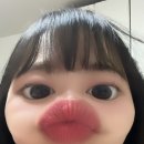 예원미트 이미지