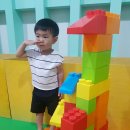 부산솔로몬로파크 이미지