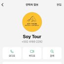 새(화산)2 | D+6 안티구아 아카테낭고 화산 트래킹🌋 쏘이 투어(soy tour) 후기, 진짜 힘들었다.