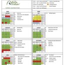 대자연유치원 | 아이랑 발리 한달살기 , 유치원 단기학교 사누르 짱구지역 기록