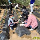 남서울어린이집 이미지