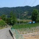 산지골민박 네이버블로그