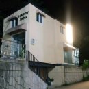 Happy 애견샵 이미지