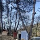 감자와고구마민박 이미지