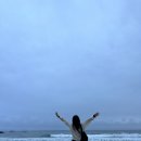 다인고