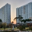 전국플랫폼대리운전 노동조합 | 이사짐센터 가격과 서비스 차이, 포장이사·반포장이사 완전 정리