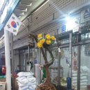 별빛바다 이미지