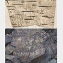 한우세상 이미지