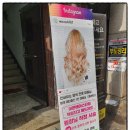 홍Hair홍헤어 이미지