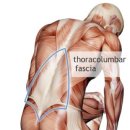 오피티스튜디오 이미지