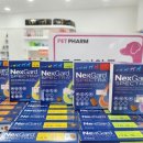 명일약국 이미지